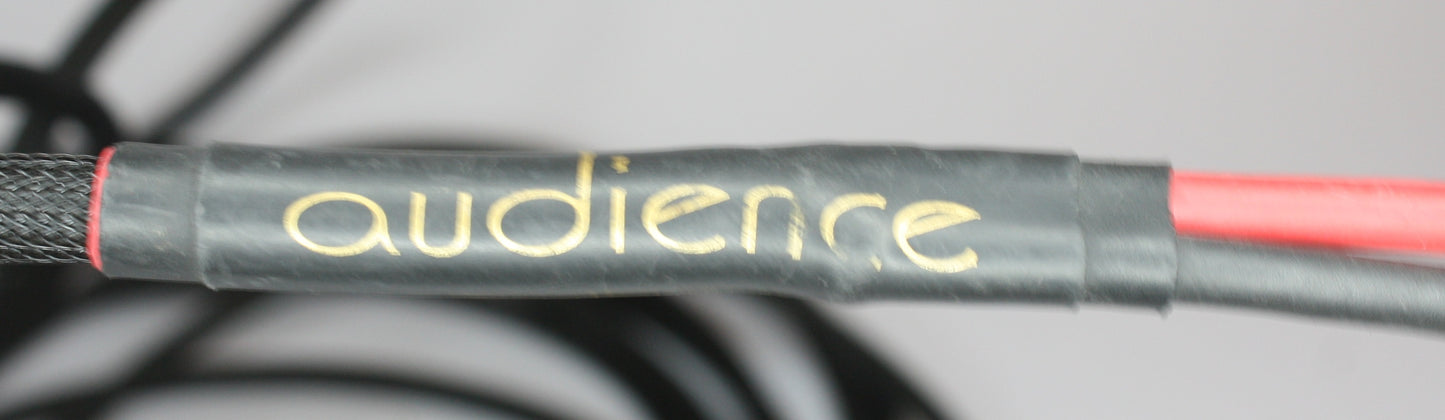 Audience Conductor Shotgun Bi-Wire (double run of cables) Speaker Cables. 12ft Pair. Spades to Spade