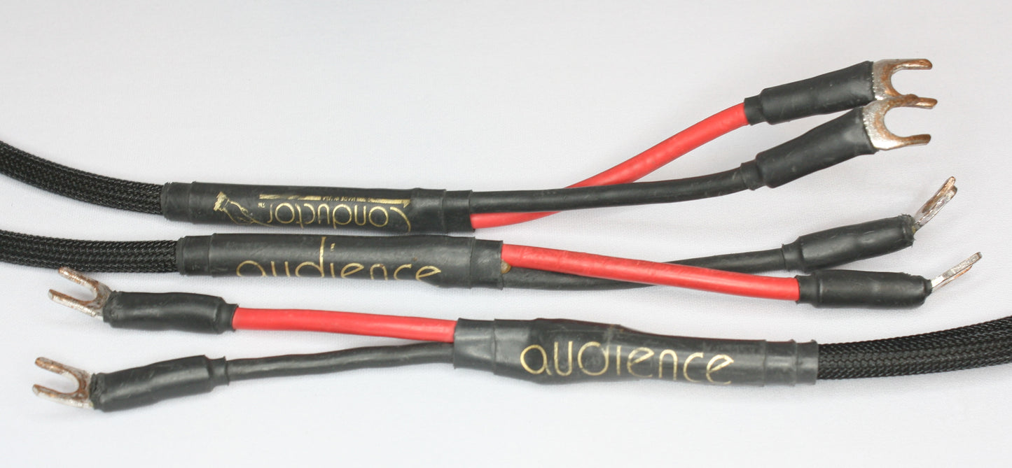 Audience Conductor Shotgun Bi-Wire (double run of cables) Speaker Cables. 12ft Pair. Spades to Spade