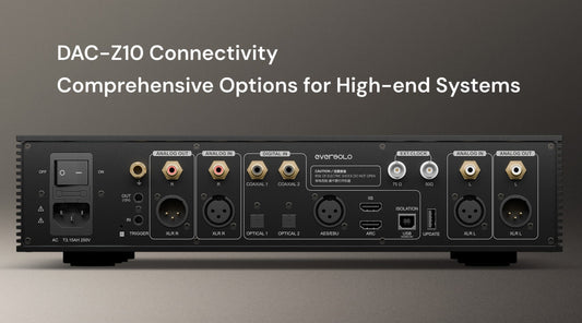 Eversolo DAC-Z10 flagship balanced DAC rear panel