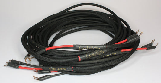 Audience Conductor Shotgun Bi-Wire (double run of cables) Speaker Cables. 12ft Pair. Spades to Spade
